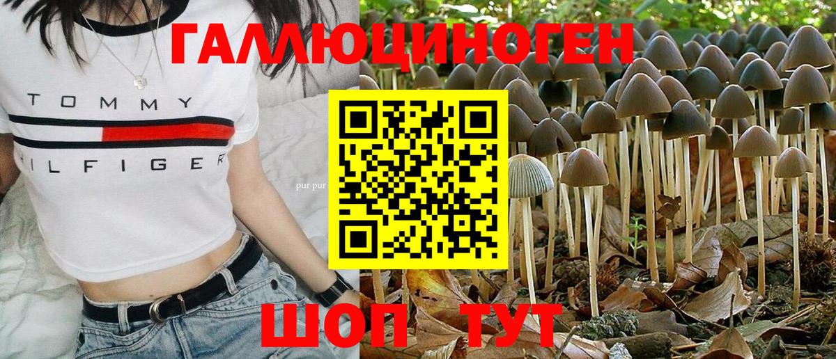 Галлюциногенные грибы мухоморы Старая Купавна