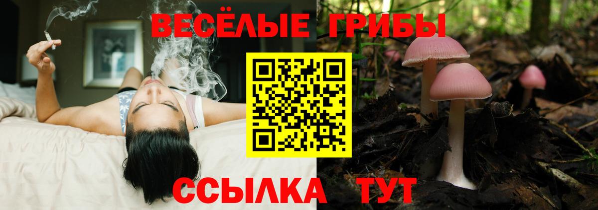 закладки  Вход с VPN  Старая Купавна  Псилоцибиновые грибы ЛСД  Псилоцибиновые грибы Cubensis 